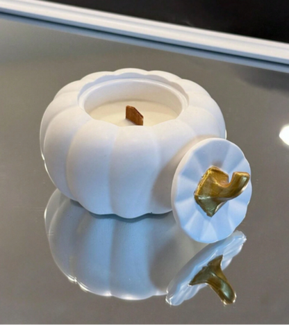 Pumpkin Shaped Silicone Mold - Container and Lid