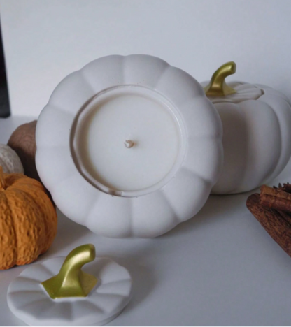 Pumpkin Shaped Silicone Mold - Container and Lid