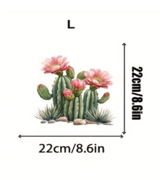 A cactus and succulent PET sticker shown with dimension arrows and text indicating 22cm by 22cm (8.6 in by 8.6 Inches